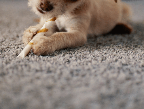 Carpets