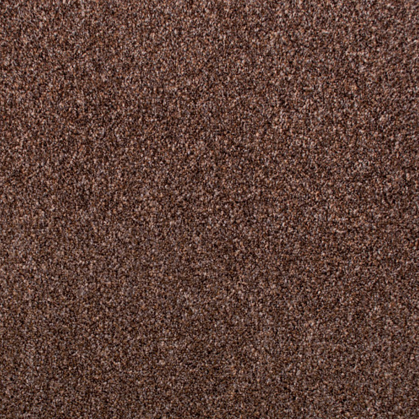 Carpet Sample 2