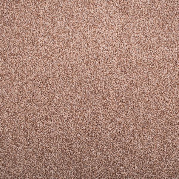 Carpet Sample 3
