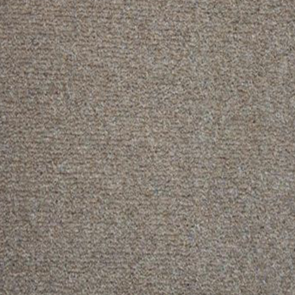 Carpet Sample 4