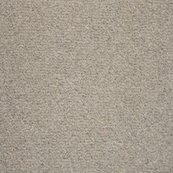 Carpet Sample 5