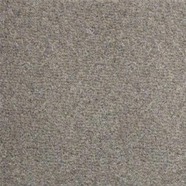 Carpet Sample 6