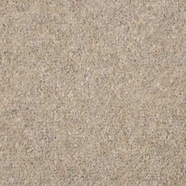 Carpet Sample 9